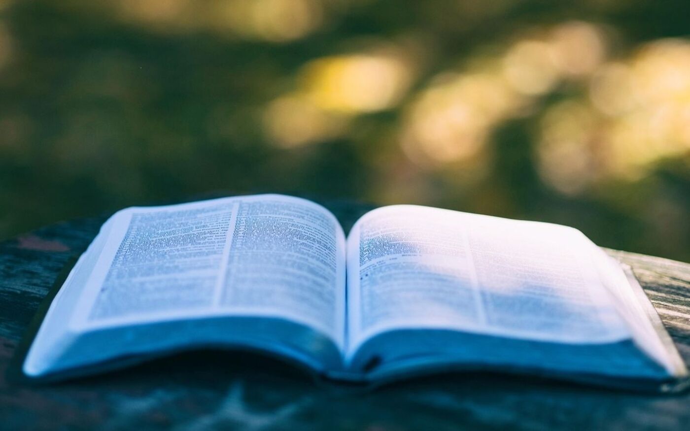 Vendu à 35 000 exemplaires en une semaine, le dernier roman de Virginie Grimaldi fait sensation // Pixabay