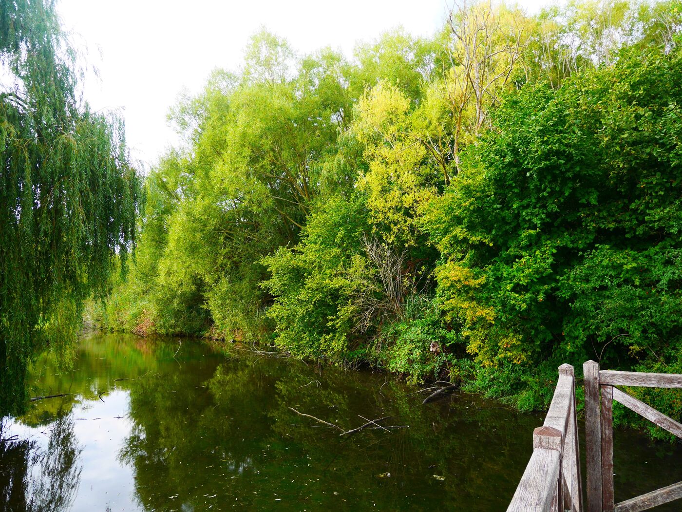 A Epernon (Eure-et-Loir), la mairie entend "valoriser" une zone humide au bord de la Drouette. Les associations, qui dénoncent une artificialisation des sols, ont perdu en justice. DR